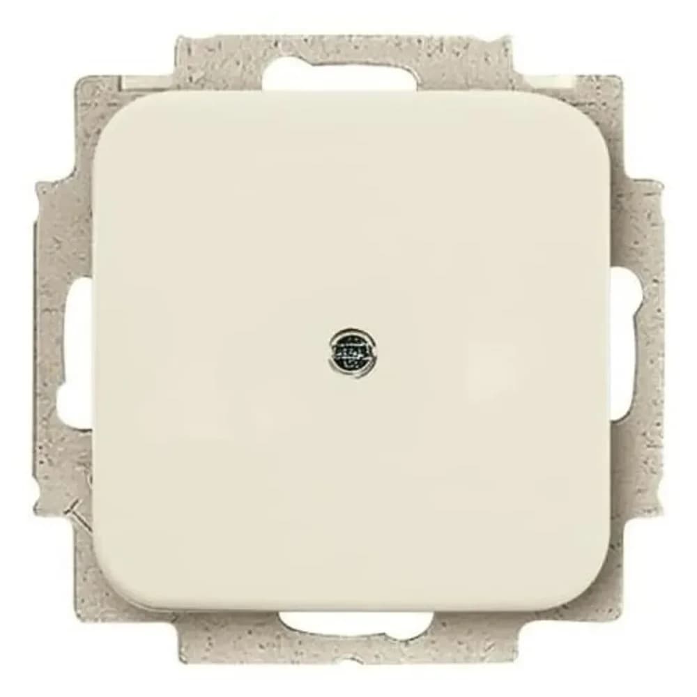 Busch-Jaeger Blindzentralscheibe ws 2538-212