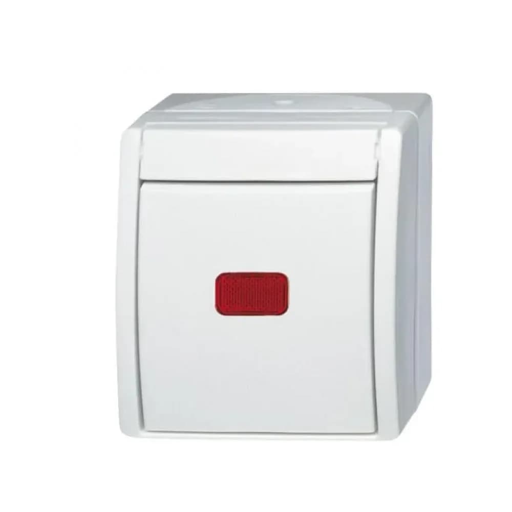 Busch-Jaeger Kontr.-Wechselschalter 2601/6 SKW-54