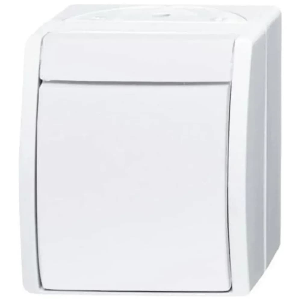 Busch-Jaeger Ausschalter 2601/2 W-54