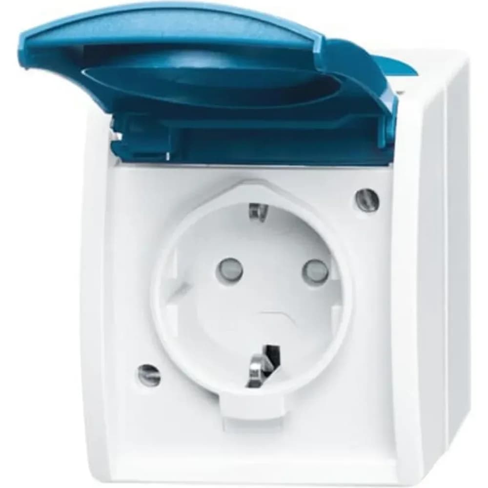 Busch-Jaeger Steckdose m.Klappdeckel 20 EBW-53