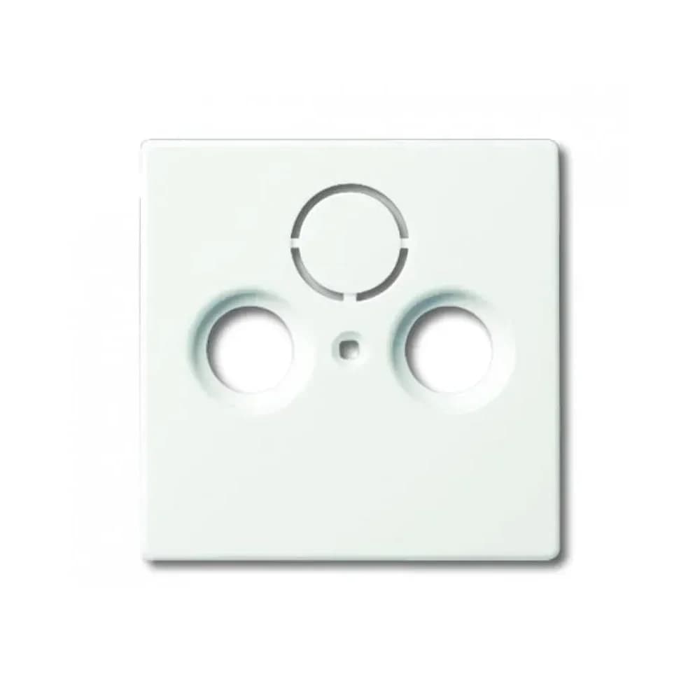 Busch-Jaeger Zentralscheibe stws mt 1743-884