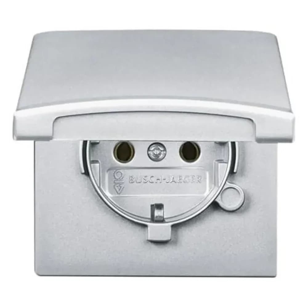 Busch-Jaeger Schuko-Steckdoseneinsatz 20 EUGK-33-101