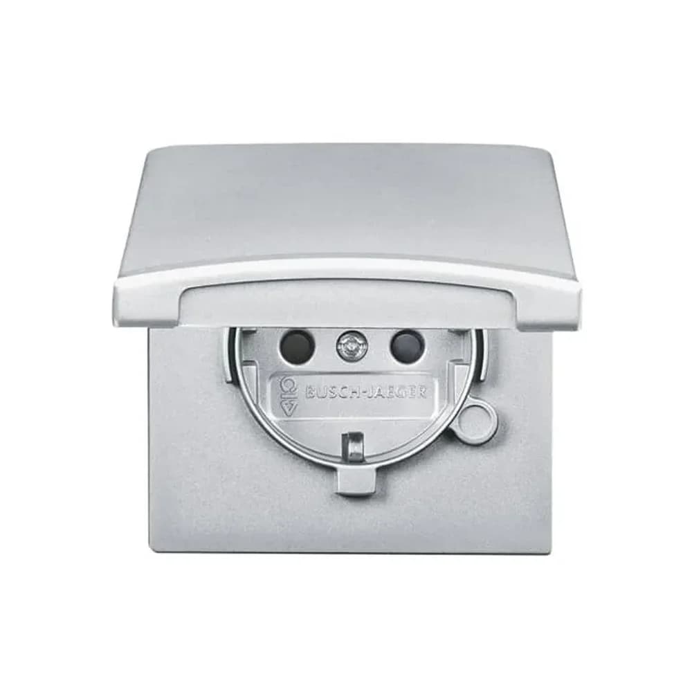 Busch-Jaeger Schuko-Steckdoseneinsatz 20 EUGKB-33-101
