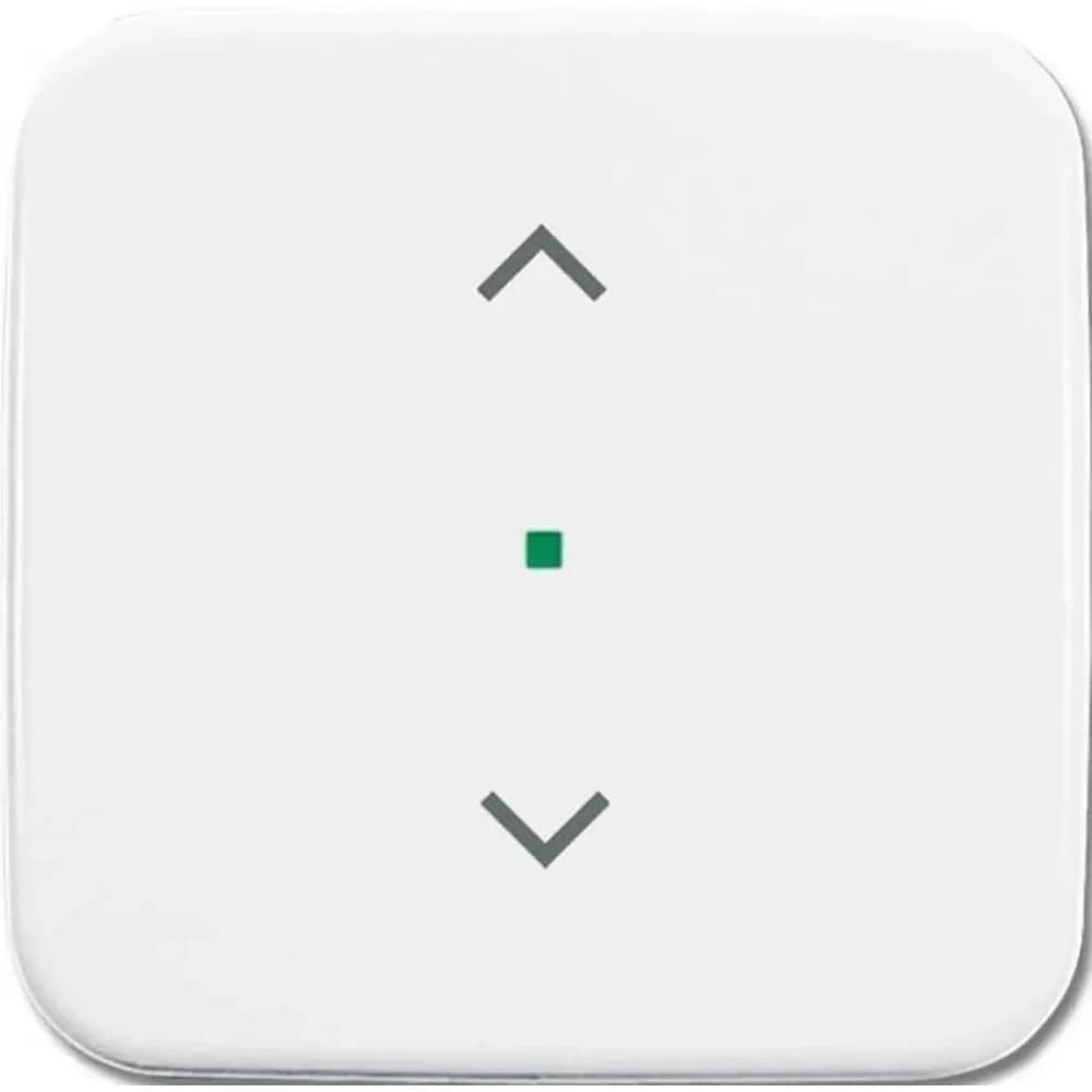 Busch-Jaeger Wippe 1-fach, Jalousie 6232-10-214