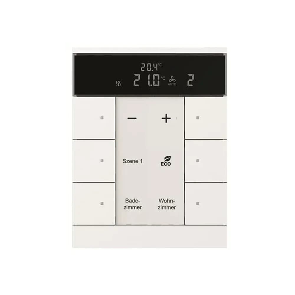 Busch-Jaeger Raumtemperaturregler SBR/U6.0.11-84