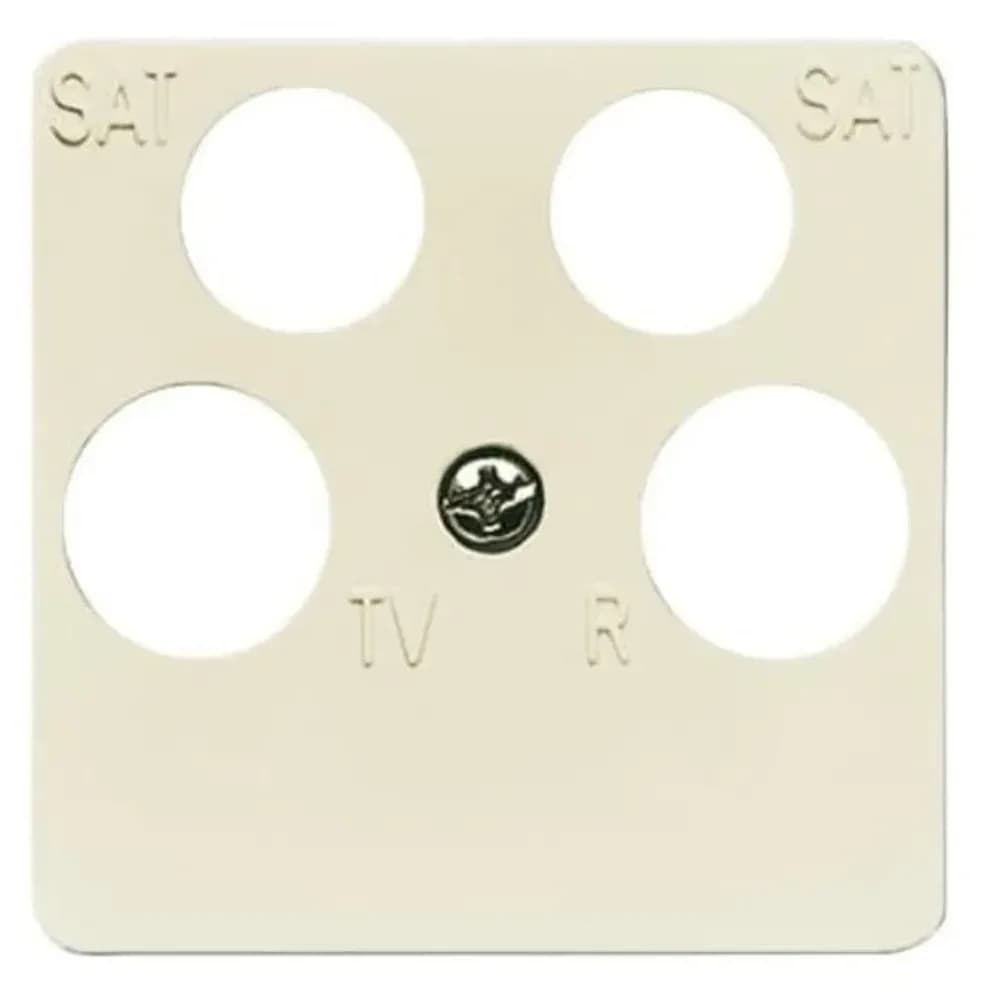 Busch-Jaeger Zentralscheibe ws 1743/10-04-212