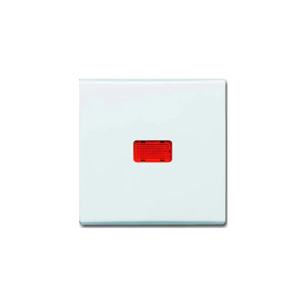 Busch-Jaeger Wippe aws 2107-34