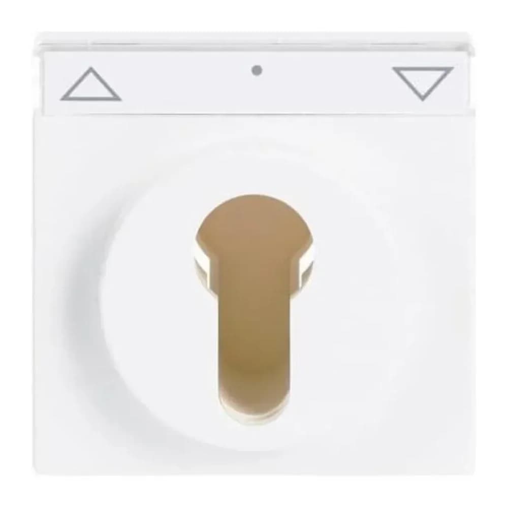 Zentralscheibe für Schlüsselschalter (studioweiß)