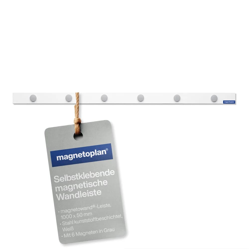 magnetoplan 16271M Magnet-Leiste mit 6 Magneten
