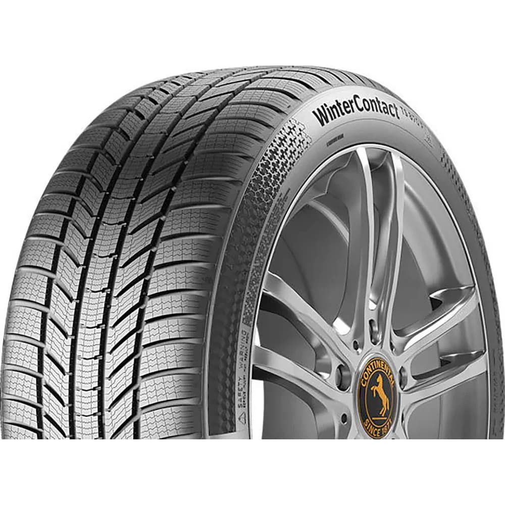 Continental Wintercontact Ts 870 P 255/50 R19 107T XL Winterreifen