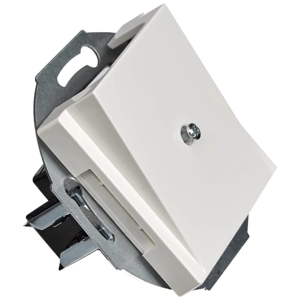 Merten Zentralplatte pws/gl 296319