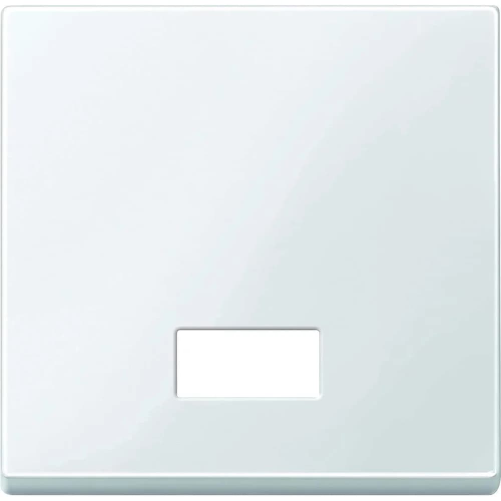 Merten Wippe Symbol Fenster pwsgl 432819