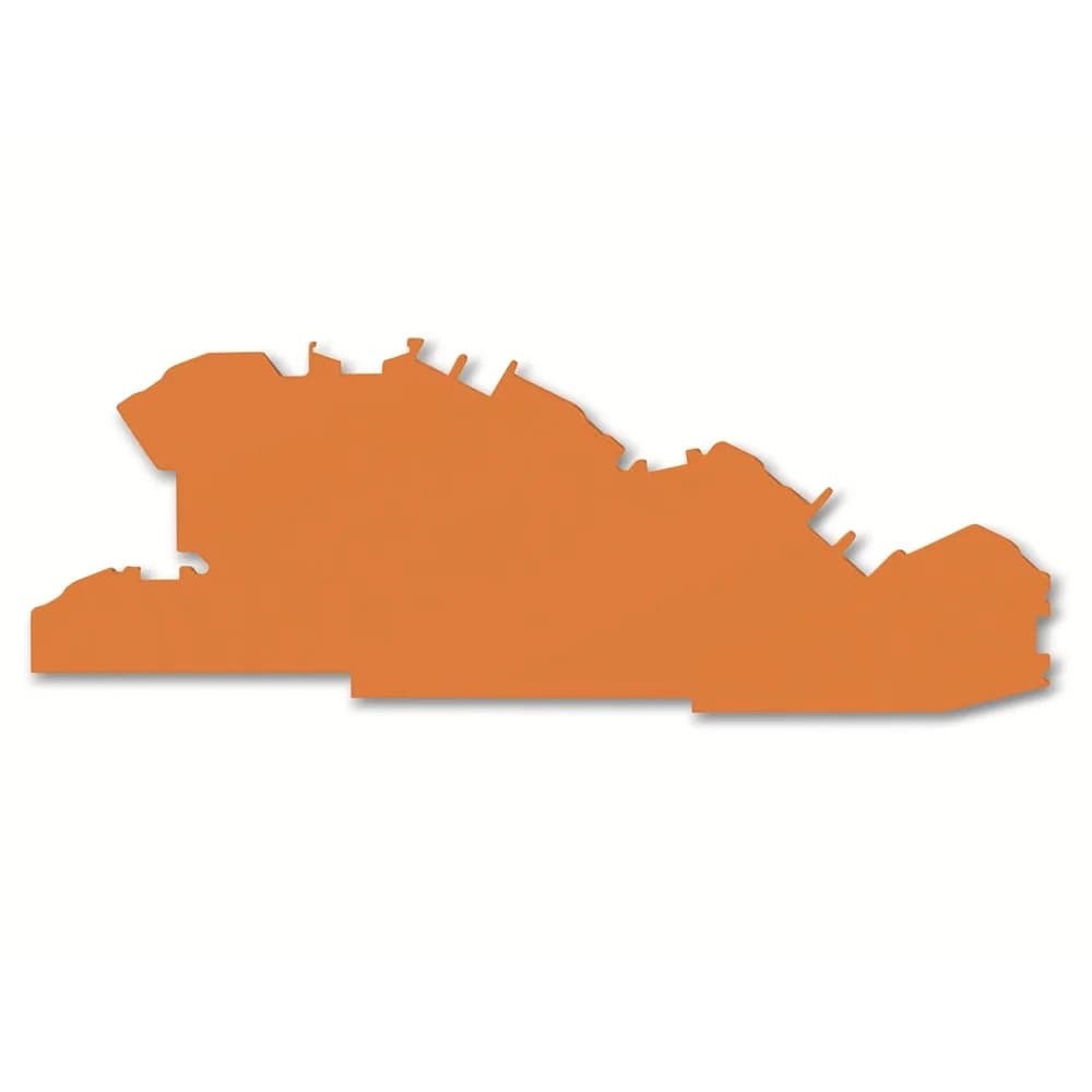 WAGO Abschluss-/Zwischenplatte orange 2005-7692