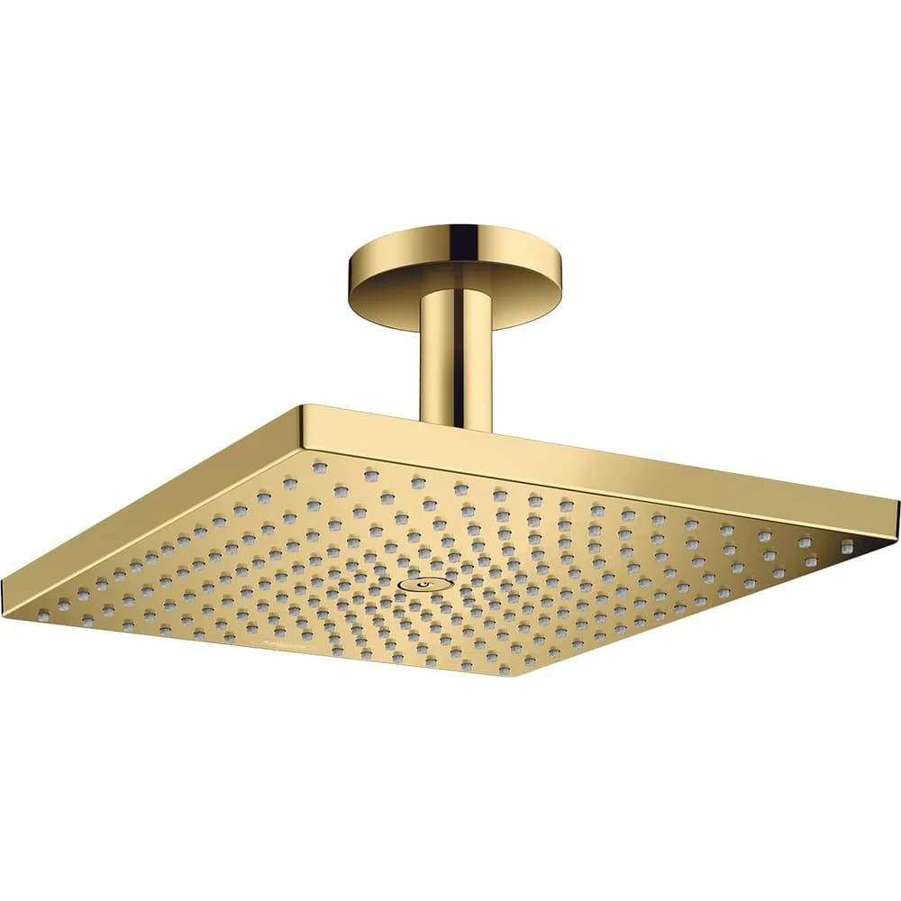 HG Kopfbrause Raindance E 300 1jet Decke
