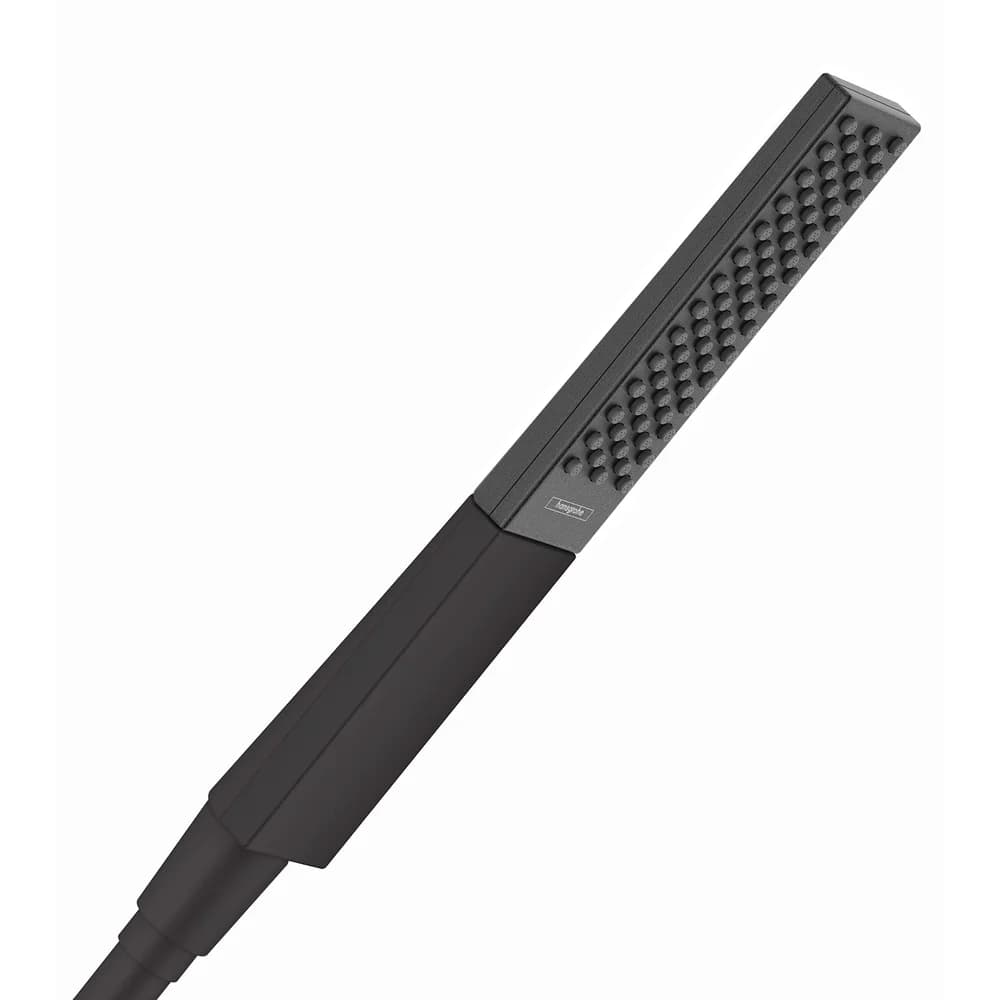 Hansgrohe Rainfinity Handbrause Matt Schwarz 26867670