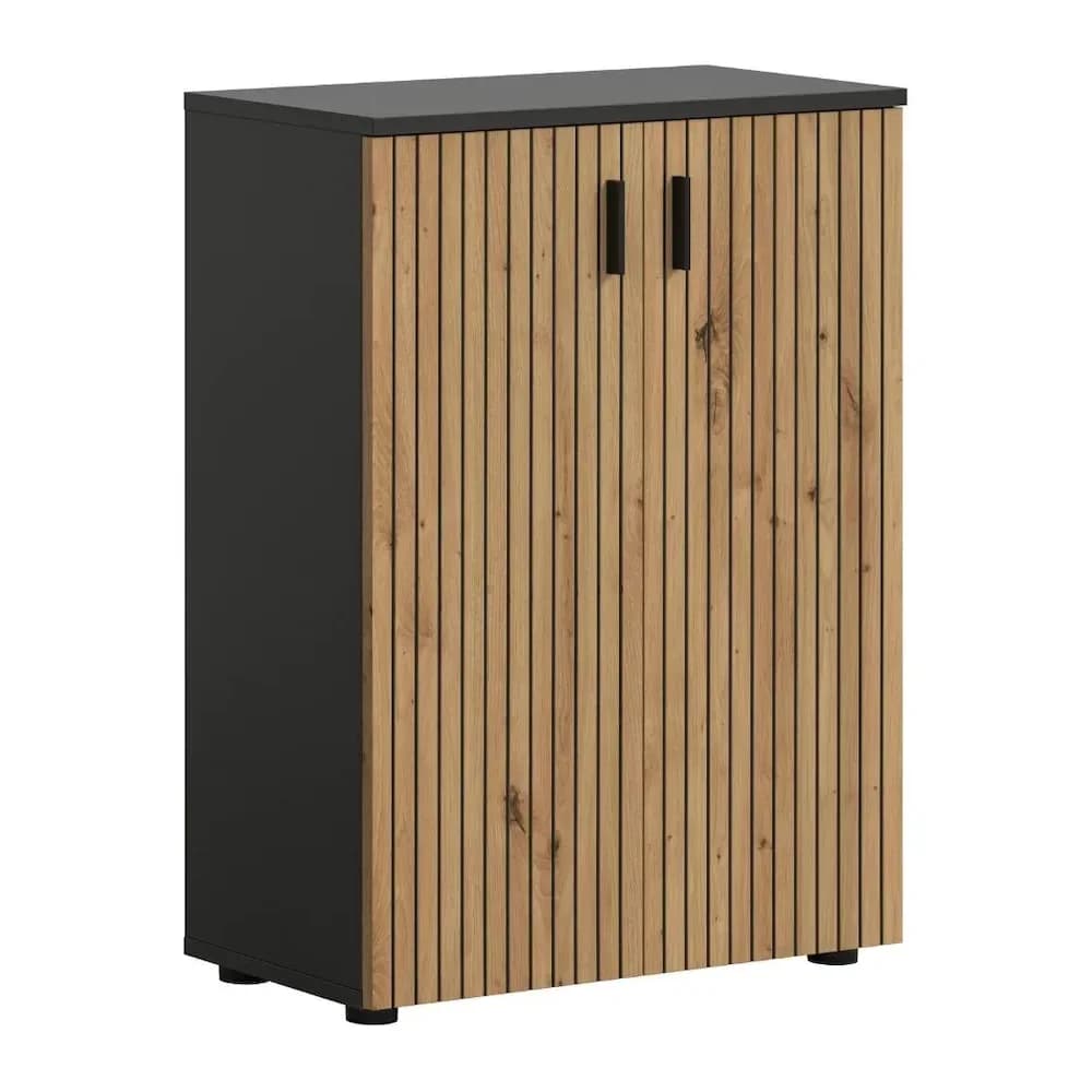 Ebuy24 Mone Badschrank 2 Türen Eiche Dekor, dunkelgrau.
