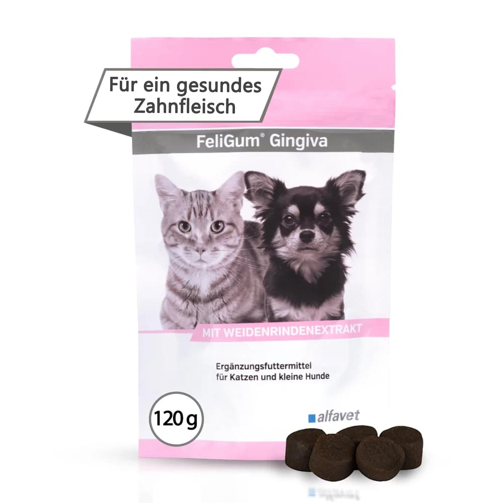 FeliGum Gingiva 120g