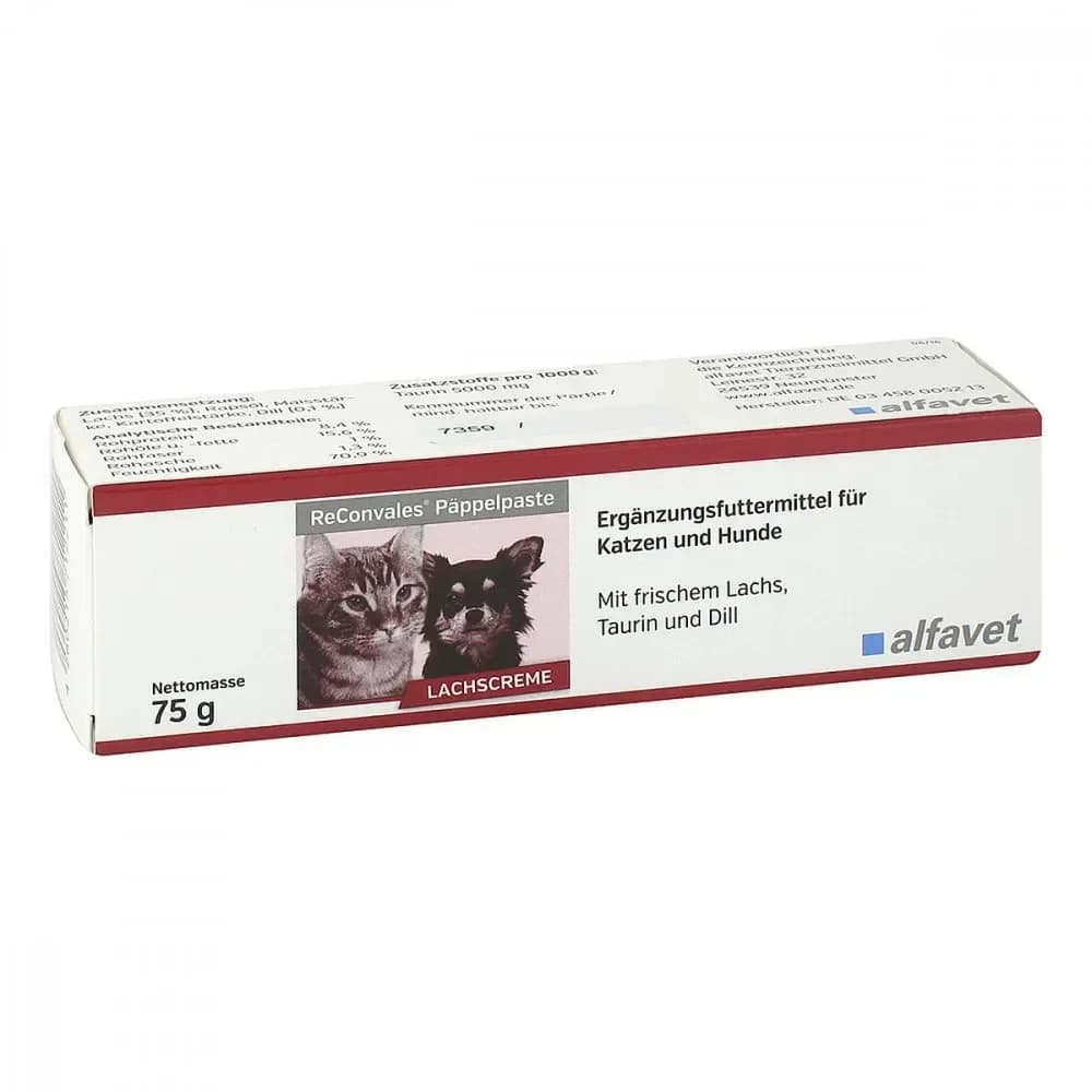 ReConvales Päppelpaste 75g