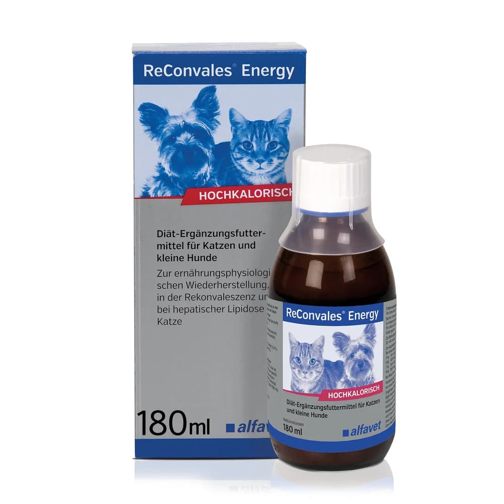 ReConvales Energy 180ml