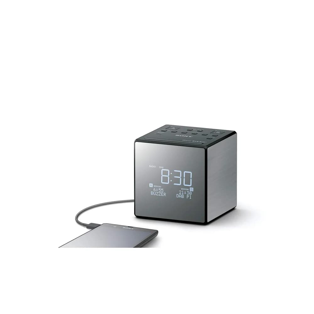 Sony XDR-C1DBP titan/schwarz