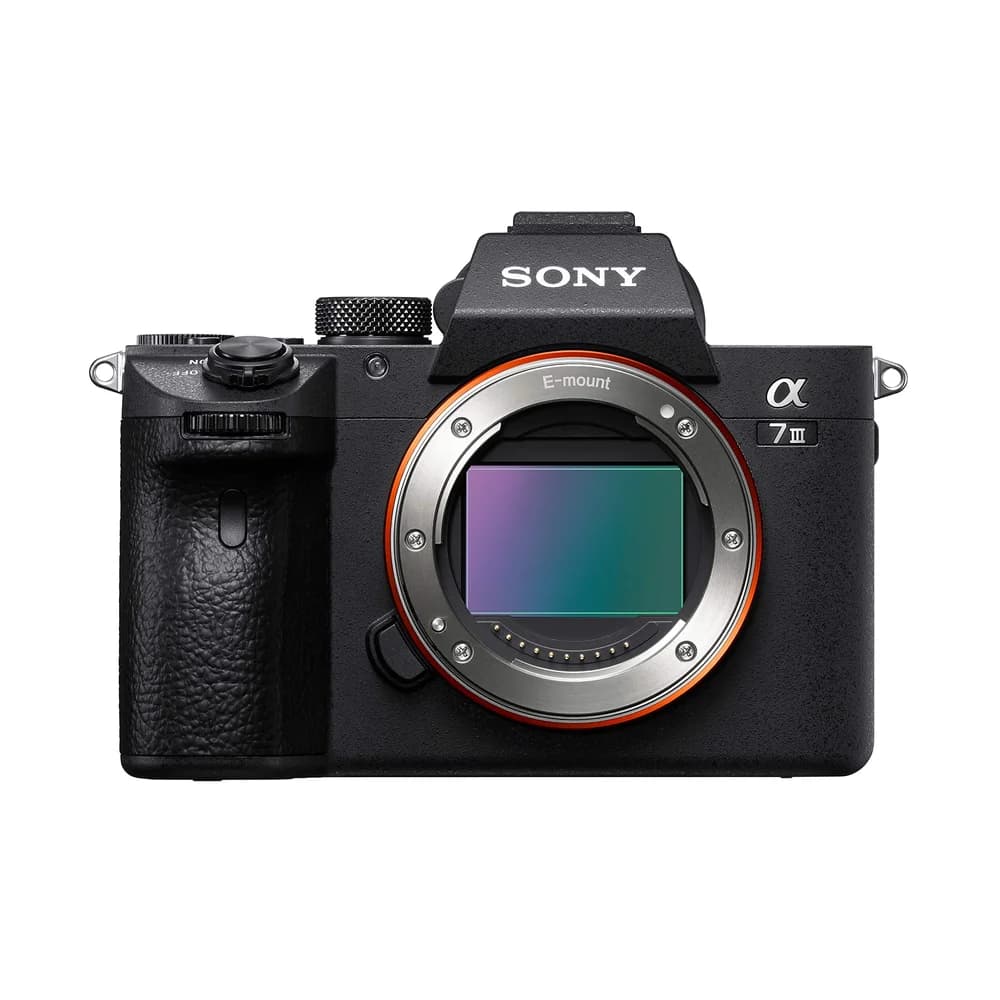 a7 Mk III - Body