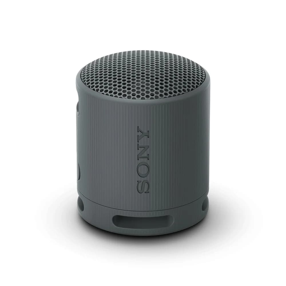 Sony SRSXB100B