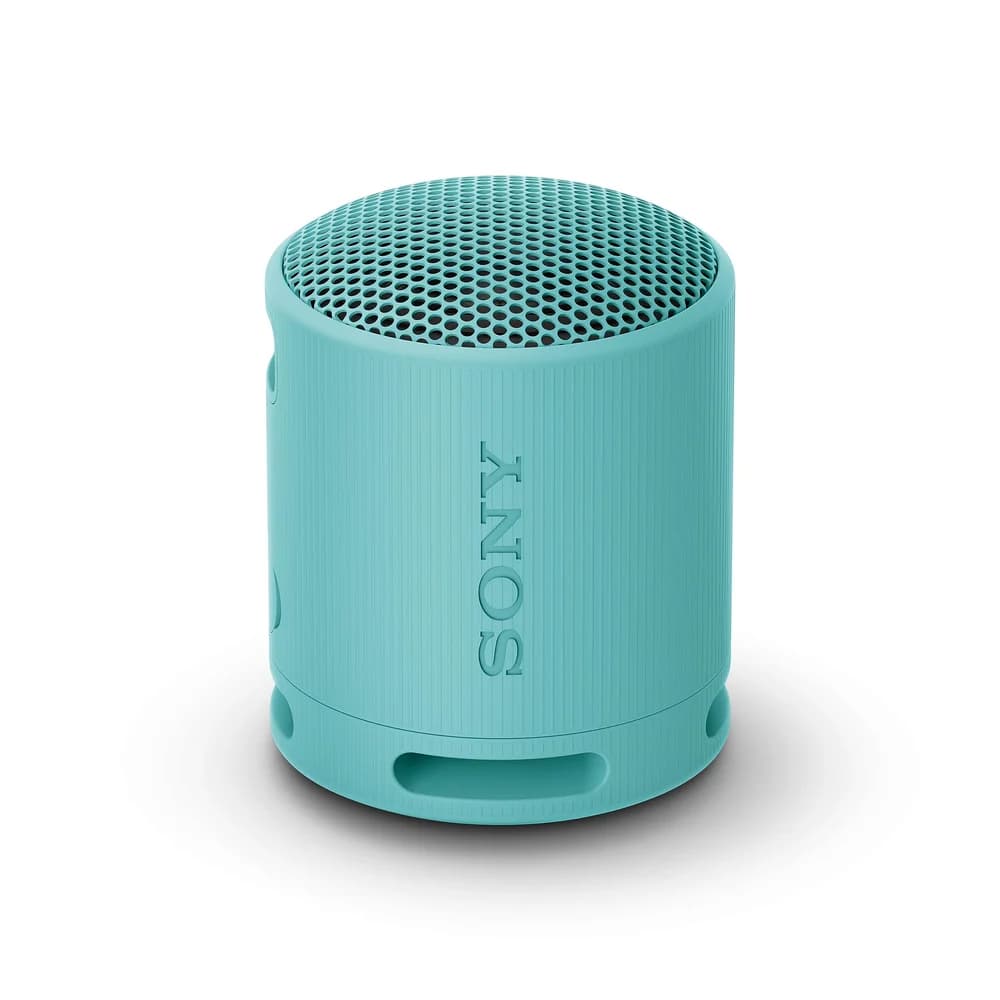 Sony SRSXB100L