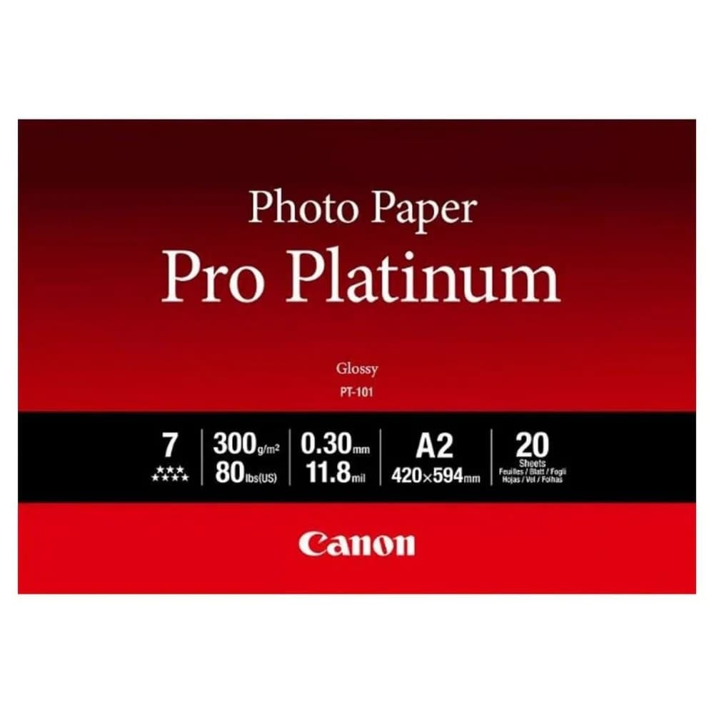 Paper PT-101 / 2768B067 Pro Platin
