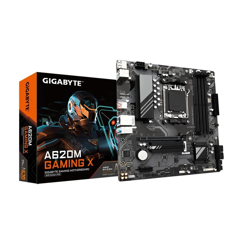 Gigabyte Mainboard