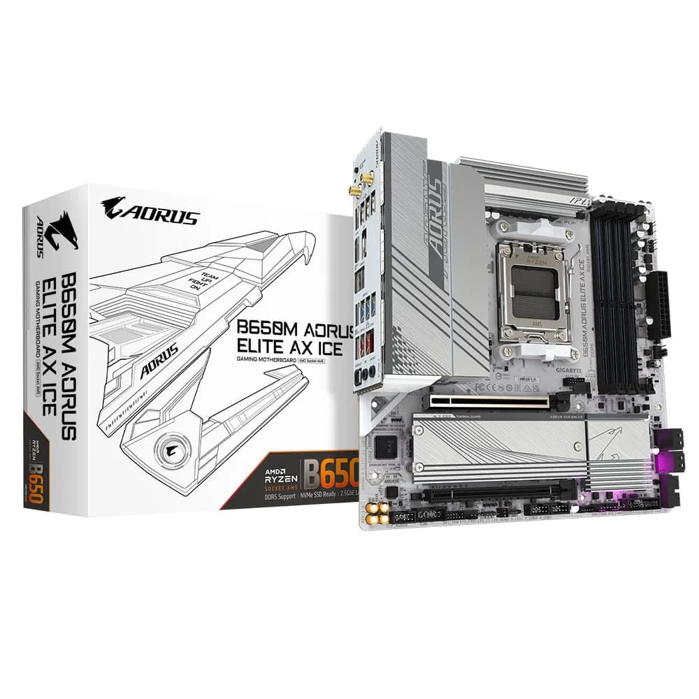 Gigabyte Mainboard