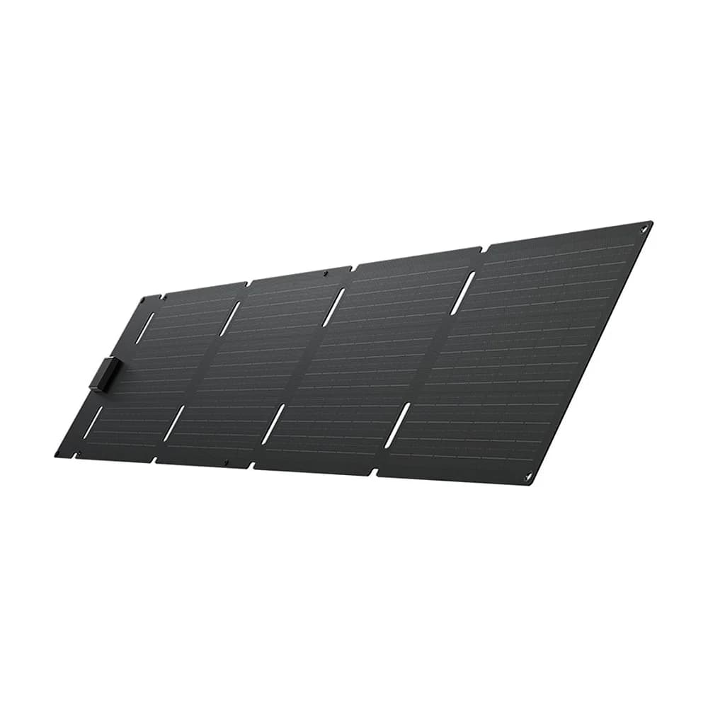 EcoFlow 60W - Solar Panel Type-C