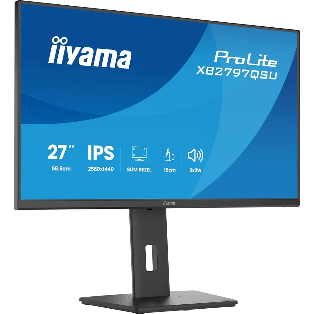 Iiyama LCD-Monitor
