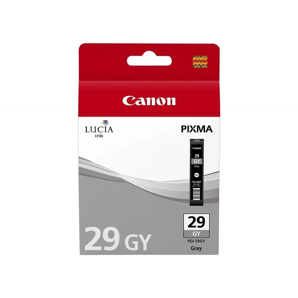 Canon Tinte 4871B001 PGI-29GY grau