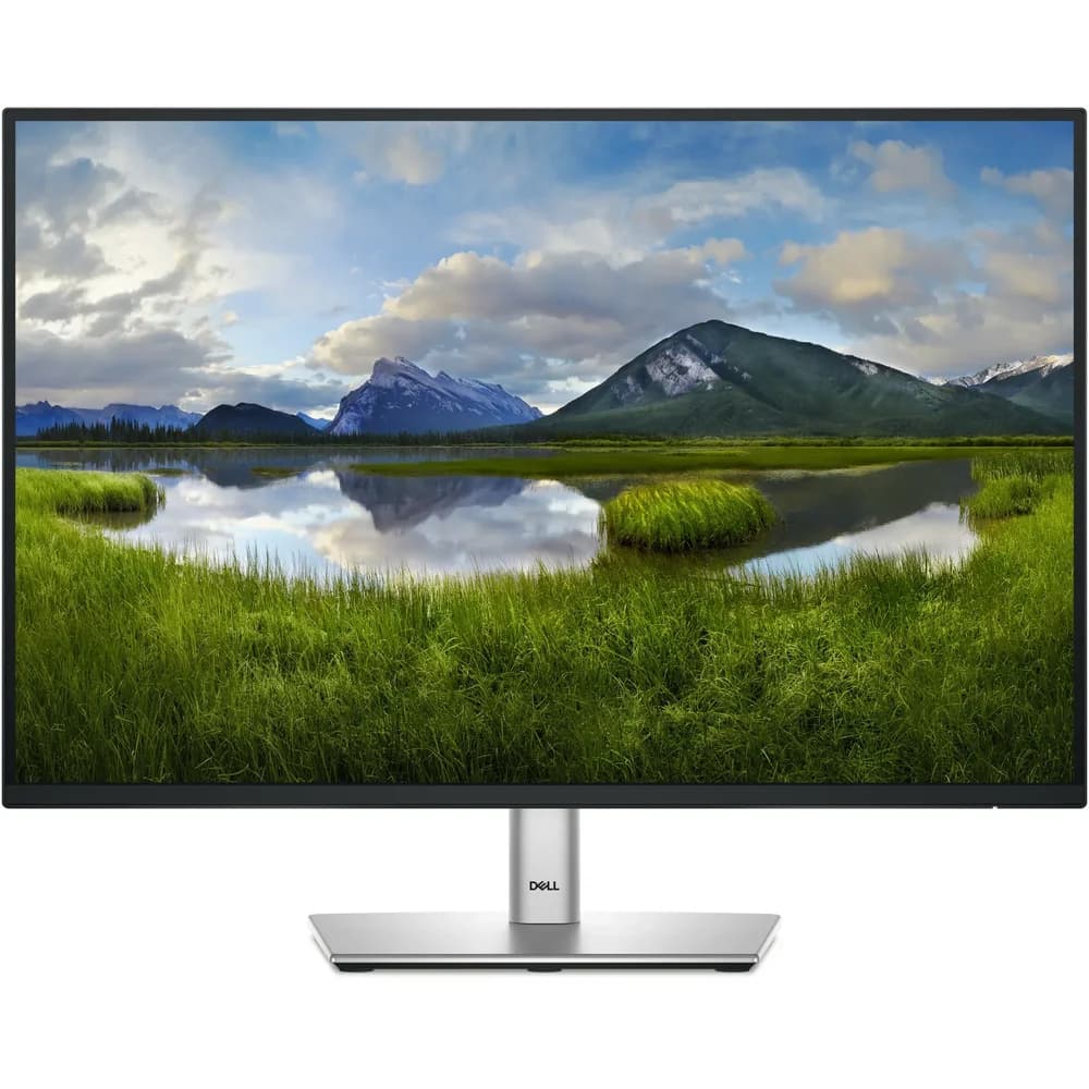 Dell P2425E TFT-Monitor
