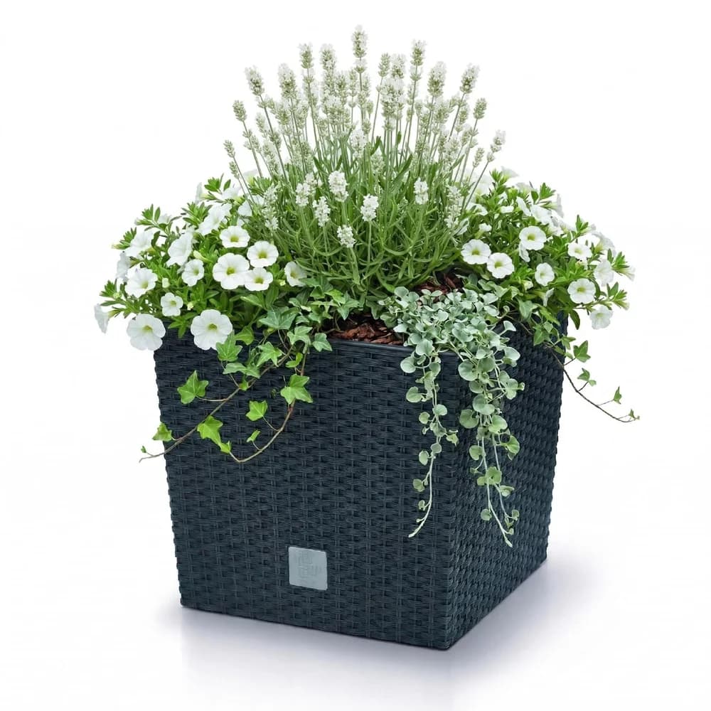 Prosperplast Blumentopf RATO LOW Anthrazit 40 cm