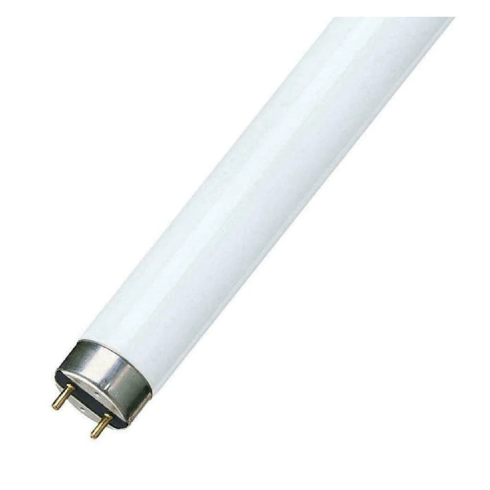 Philips Lighting Leuchtstofflampe BL 18W/10 SLV/25