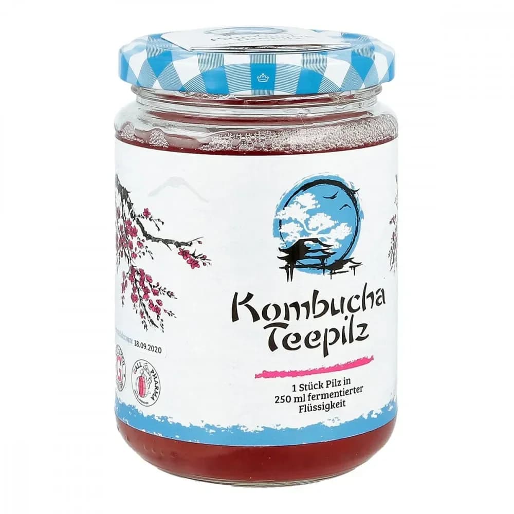 Kombucha Teepilz