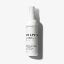 Volumizing Blow Dry Mist
