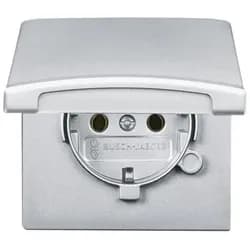 Busch-Jaeger Schuko-Steckdoseneinsatz 20 EUGK-33-101