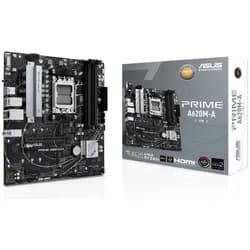 Asus Mainboard