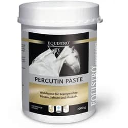 Equistro Kühlpaste Percutin Paste