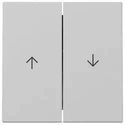 Gira Wippe 2f Pfeil 3294015