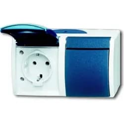 Busch-Jaeger Schuko-Steckdose 2f.gr/bgn 20/2 EW-53