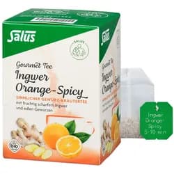 Ingwer Orange Spicy Tee Salus