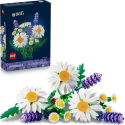 Gänseblümchen