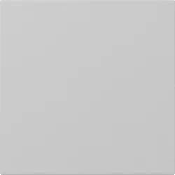 Gira Wippe gerade 3496015