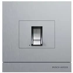 Busch-Jaeger Zutrittskontrolle außen 83100/70-660
