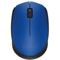 Logitech M171