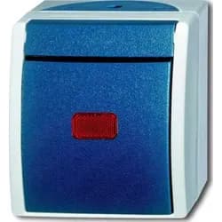 Busch-Jaeger Kontrollwechselschalter 2601/6 SKW-53