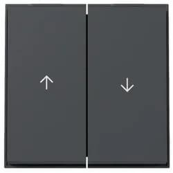 Gira Wippe 2f Pfeil 329467